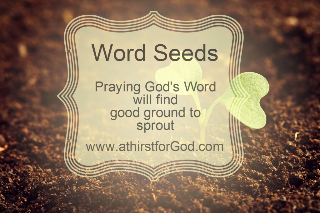 word seeds